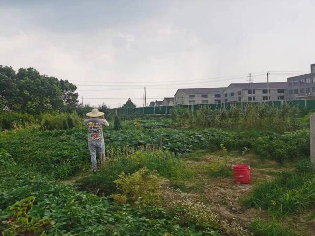 衛(wèi)片執(zhí)法